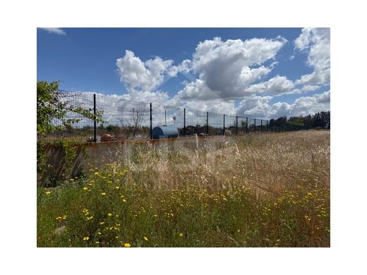 أرض ﻓﻲ Benavente, Distrito de Santarém