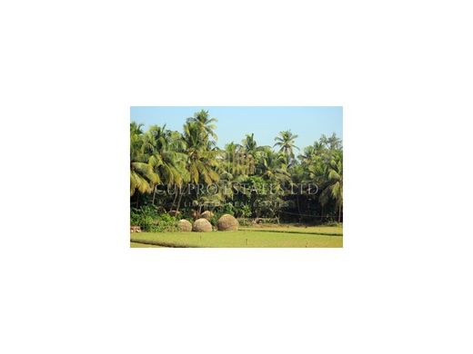 地皮  Limassol, Limassol District