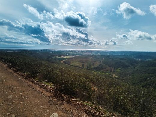 Tavira, Distrito de Faroの土地