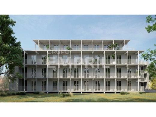 Daire Porto, Distrito do Porto