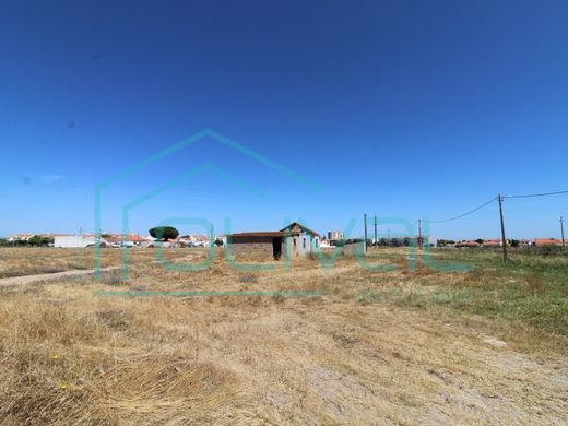 Grond in Benavente, Distrito de Santarém