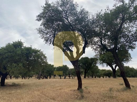 Φάρμα σε Arraiolos, Distrito de Évora