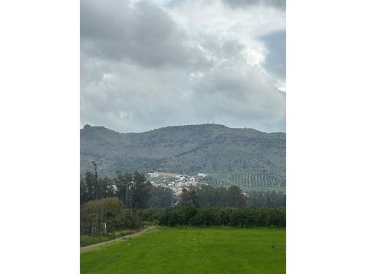 Усадьба / Сельский дом, Alora, Provincia de Málaga