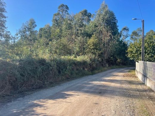 Grundstück in Barcelos, Distrito de Braga