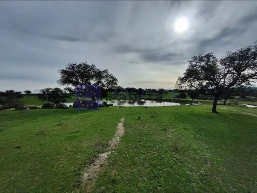 전원/농가 / Mérida, Provincia de Badajoz