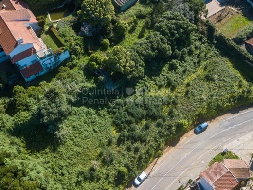 Cascais, Distrito de Lisboaの土地