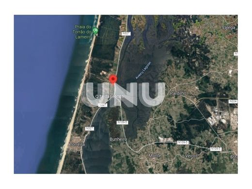 Land in Murtosa, Aveiro