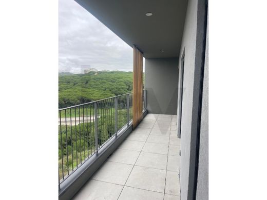 Apartment in Oeiras, Lisbon