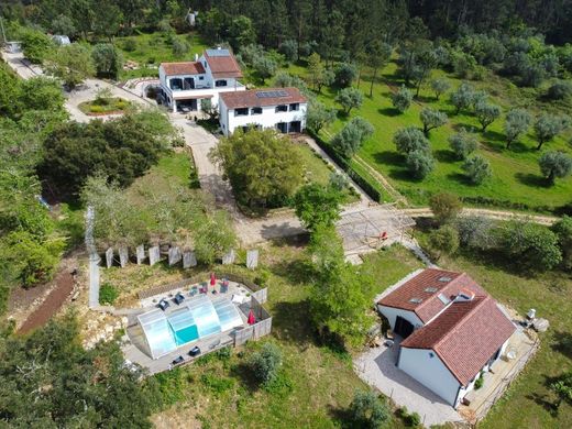 Luxury home in Vila Nova de Ourém, Ourém