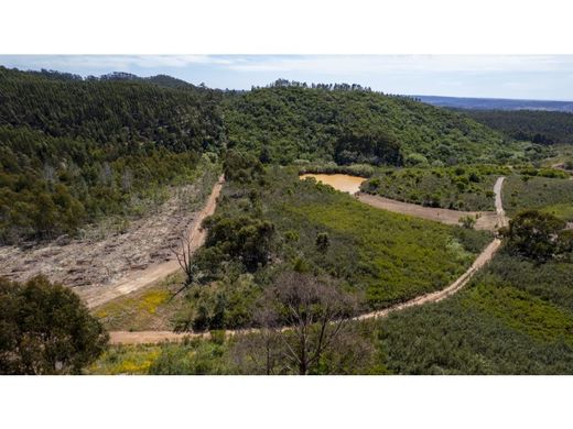 토지 / Aljezur, Distrito de Faro