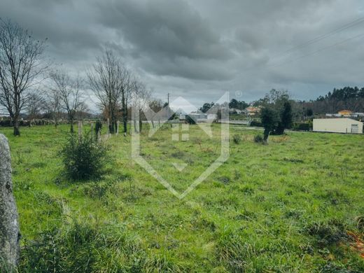 Valença, Distrito de Viana do Casteloの土地