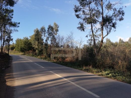 Vila Nova de Famalicão, Distrito de Bragaの土地