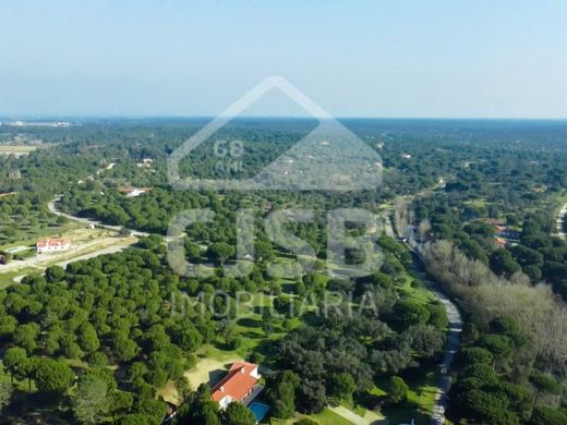 Grond in Benavente, Distrito de Santarém