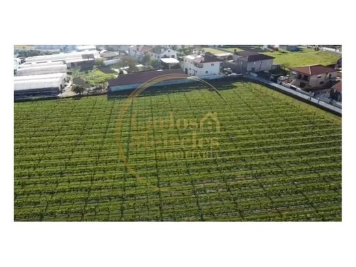 Land in Barcelos, Distrito de Braga