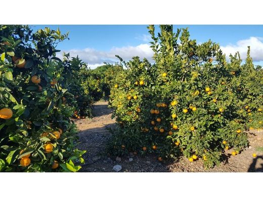 Luxe woning in Huelva, Provincia de Huelva