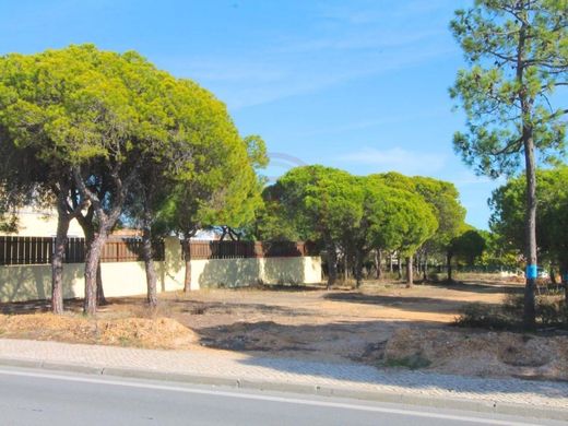 ローレ, Louléの土地