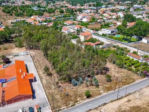 Teren w Palmela, Distrito de Setúbal