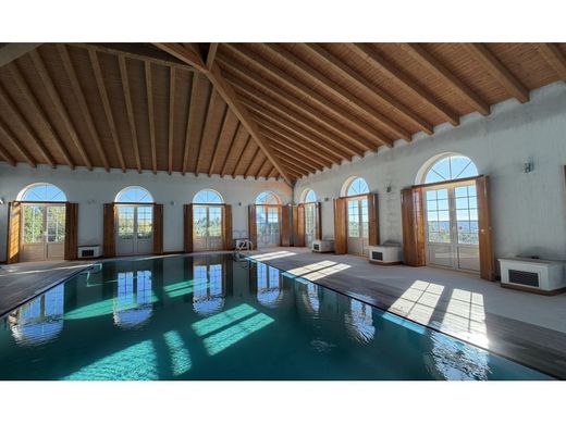 ﻣﺰﺭﻋﺔ ﻓﻲ Tomar, Distrito de Santarém