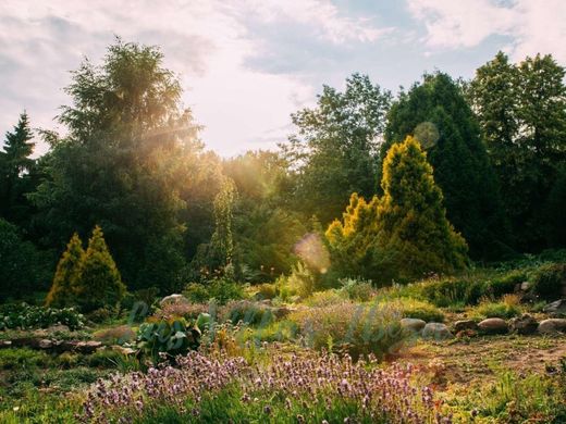 토지 / Santa Eulària des Riu, Illes Balears