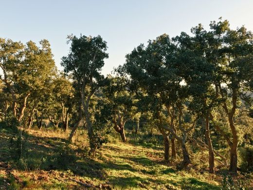 Terreno a Santiago do Cacém, Distrito de Setúbal