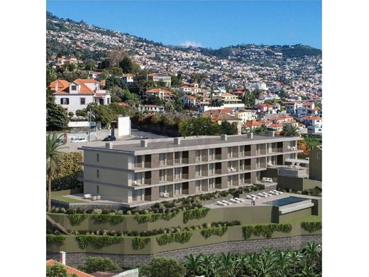 ‏דירה ב  Funchal, Madeira