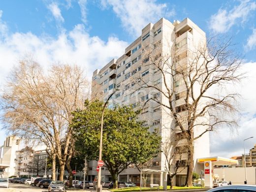 Daire Porto, Distrito do Porto