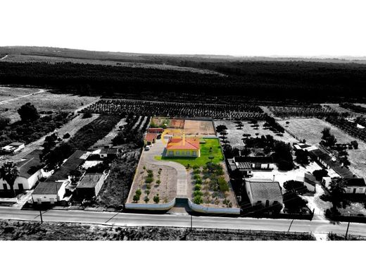 Luxury home in Almeirim, Santarém