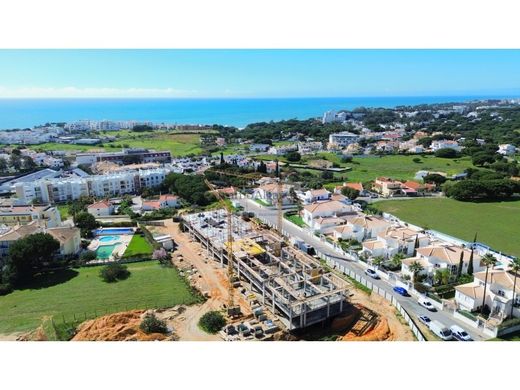 Daire Albufeira, Distrito de Faro