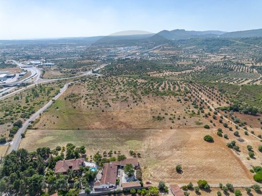 Terreno en Torres Novas, Santarém
