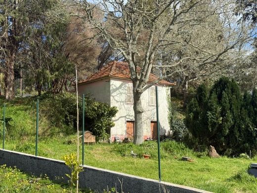 Luxury home in Machico, Madeira