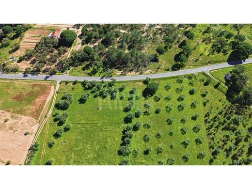 Terreno en Grândola, Setúbal