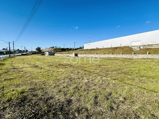 Land in Oliveira de Frades, Distrito de Viseu