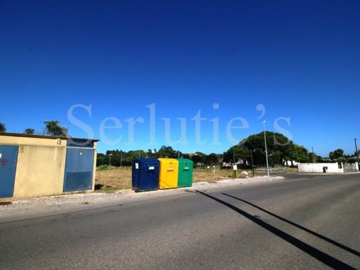 Terreno en Cartaxo, Santarém