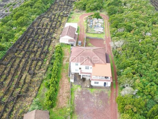Luxus-Haus in Madalena, Azores