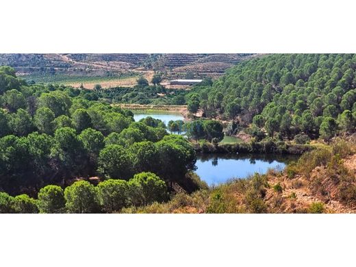 Fattoria a Silves, Distrito de Faro