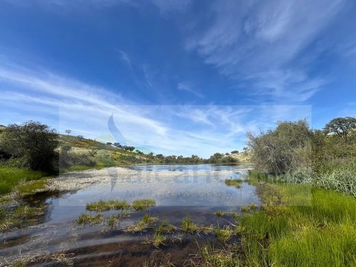 Farm in Moura, Distrito de Beja