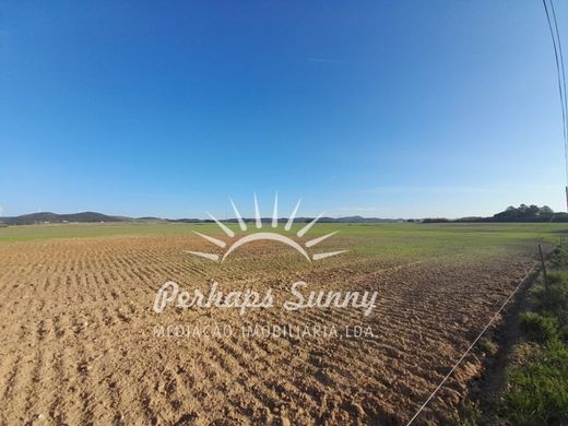 ‏קרקע ב  Sines, Distrito de Setúbal