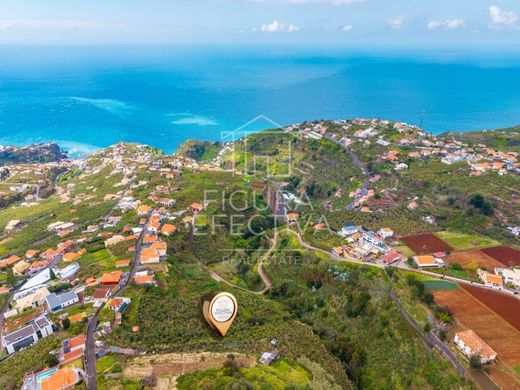 Land for sale in Ponta do Sol