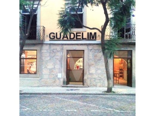 Luxus-Haus in Castelo Branco, Distrito de Castelo Branco