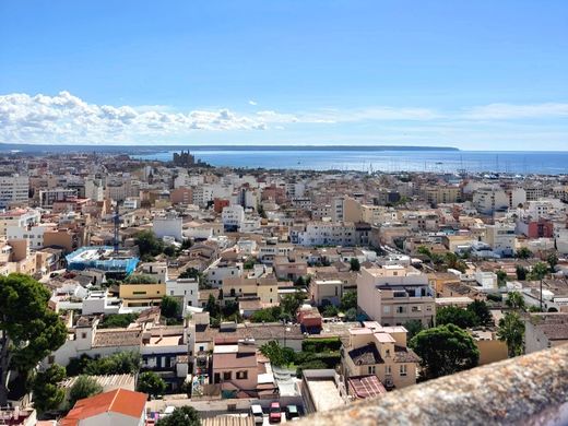 Daire Palma de Mallorca, Illes Balears