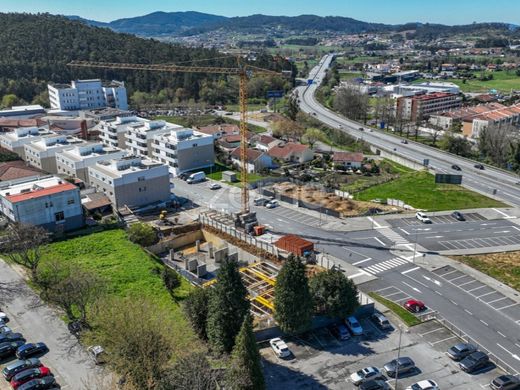 Daire Braga, Distrito de Braga