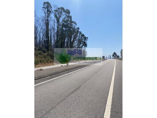 Teren w Sever do Vouga, Distrito de Aveiro