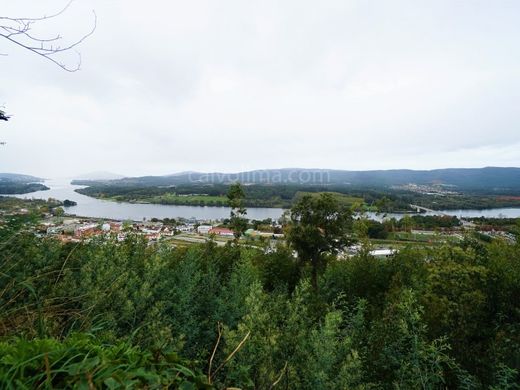 Vila Nova de Cerveira, Distrito de Viana do Casteloの土地