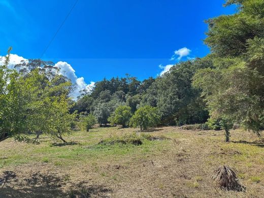 Arsa Mafra, Distrito de Lisboa