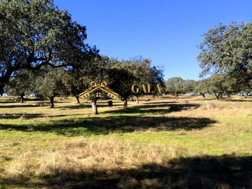 Rustico o Casale a Cáceres, Provincia de Cáceres