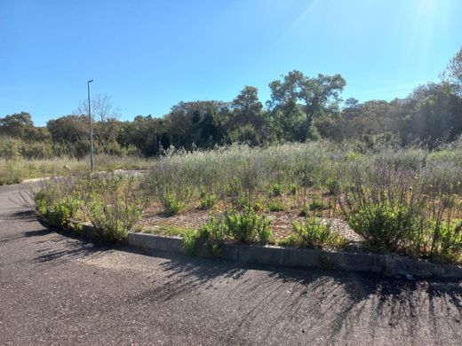 Αγροτεμάχιο σε Cartaxo, Distrito de Santarém