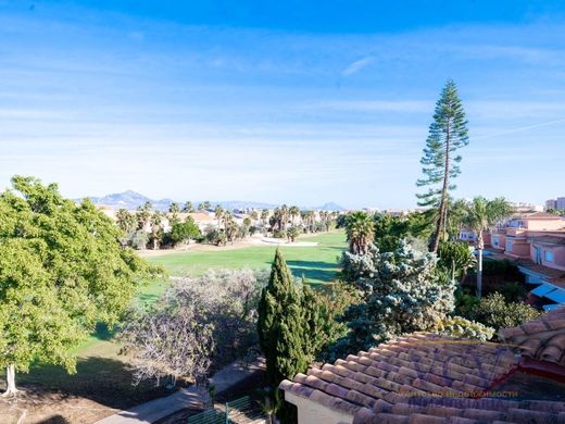 半独立式房屋  阿利坎特, Provincia de Alicante