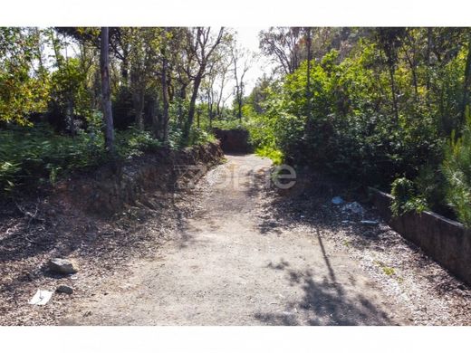 Land in Vila Nova de Gaia, Distrito do Porto