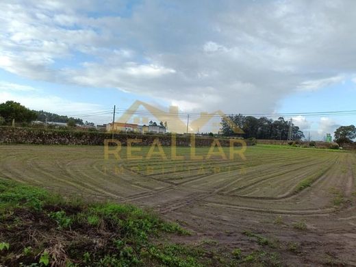 Arsa Póvoa de Varzim, Distrito do Porto