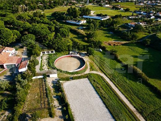 Luxury home in Benavente, Distrito de Santarém